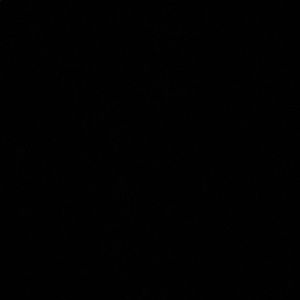 Meet your Posher, Damarris